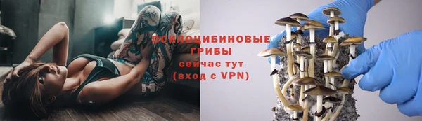 винт Белокуриха