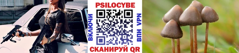 Галлюциногенные грибы GOLDEN TEACHER  Удачный 
